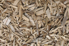 biomass boilers Scartho